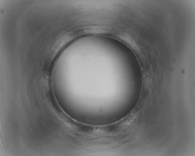 X0000069390111200605192224