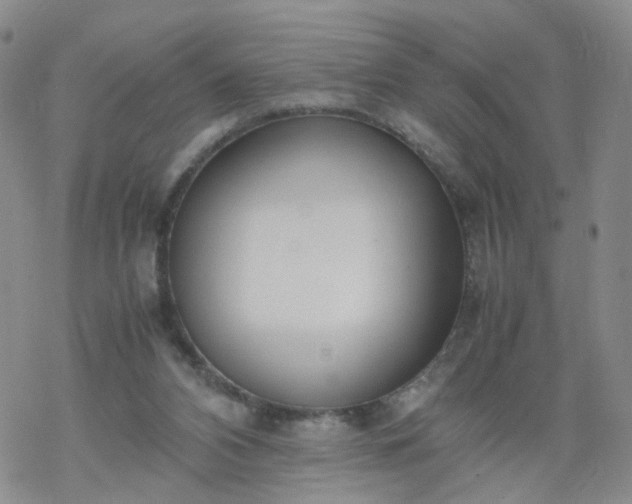 X0000069390112200605192224