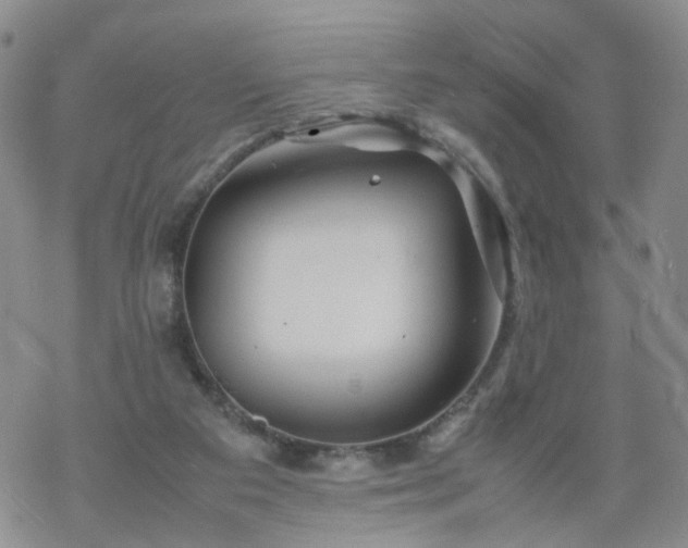 X0000069390113200605192224