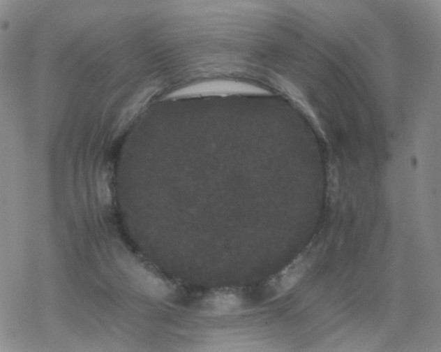 X0000069390114200605192224