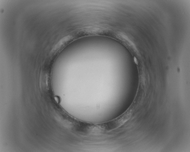 X0000069390115200605192224