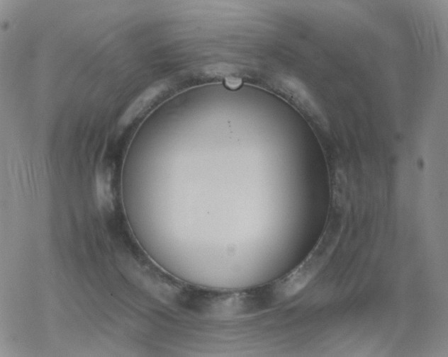 X0000069390116200605192224