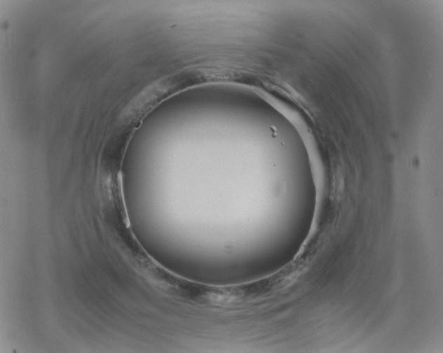 X0000069390117200605192223