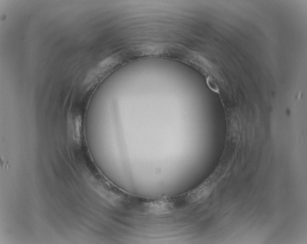 X0000069390118200605192223