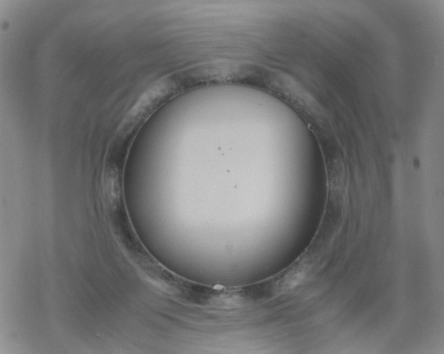 X0000069390119200605192223