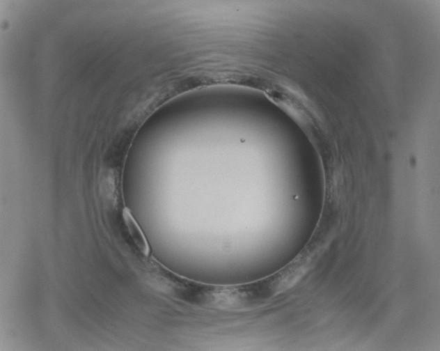 X0000069390121200605192223