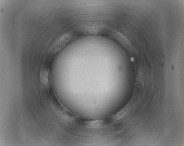 X0000069390122200605192223