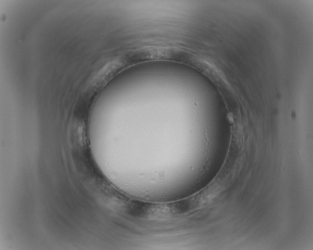 X0000069390123200605192223