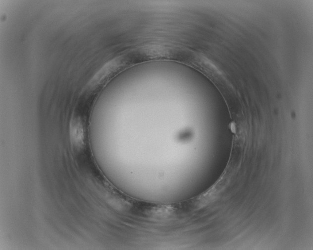 X0000069390124200605192223