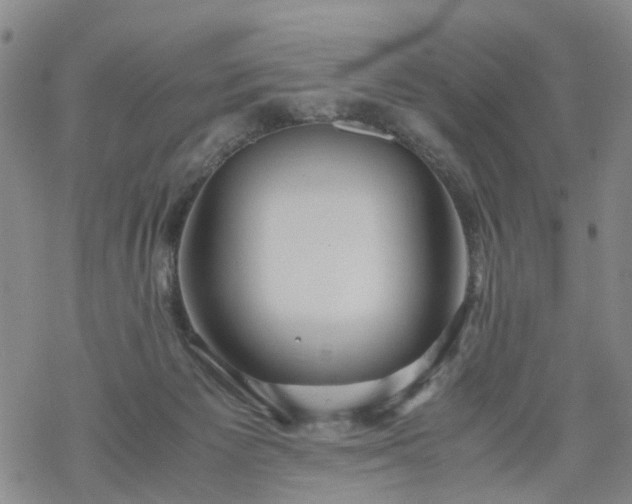 X0000069390125200605192223