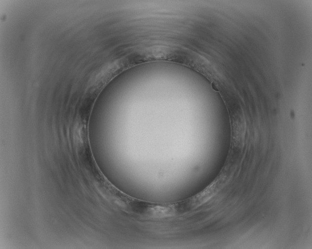 X0000069390126200605192223