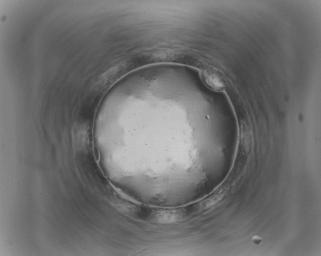 X0000069390127200605192223