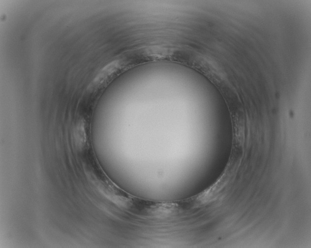 X0000069390128200605192223