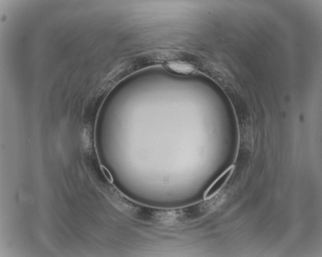 X0000069390131200605192223