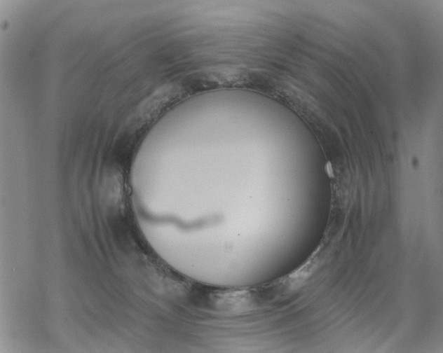 X0000069390132200605192223