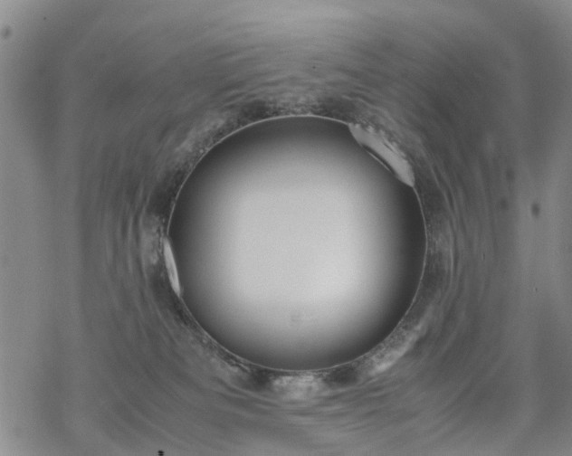 X0000069390133200605192223