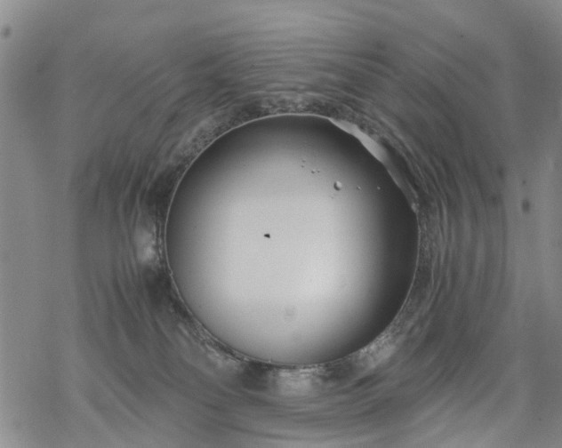 X0000069390134200605192223