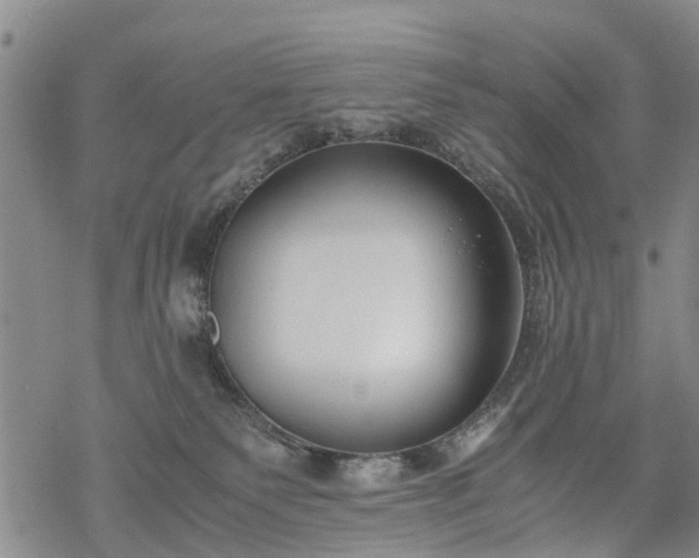 X0000069390135200605192223