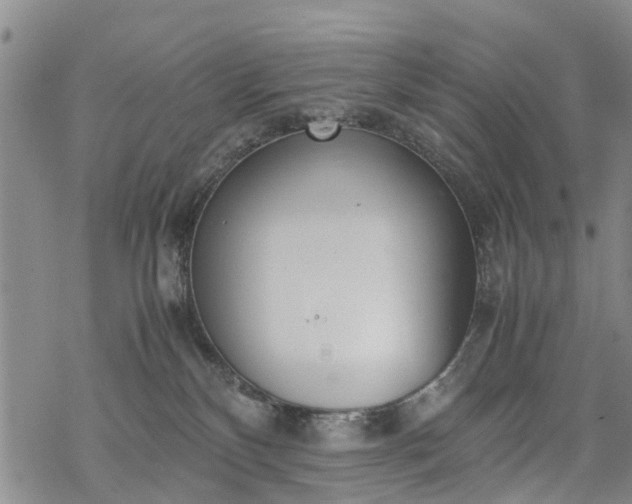 X0000069390136200605192223