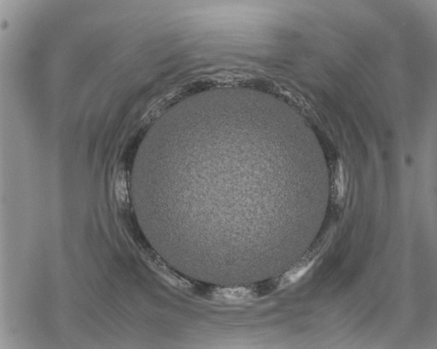 X0000069390137200605192223