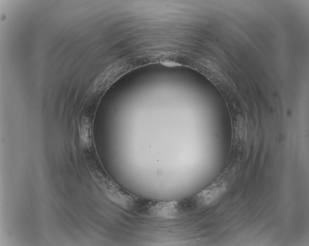 X0000069390138200605192223