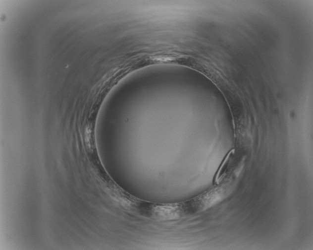 X0000069390139200605192223