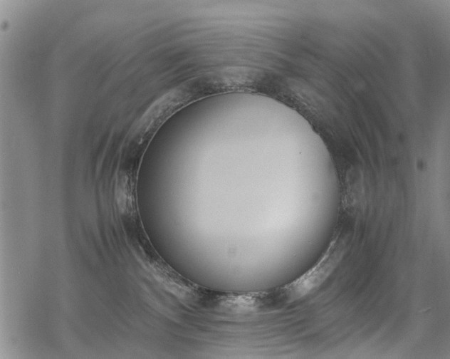 X0000069390140200605192223