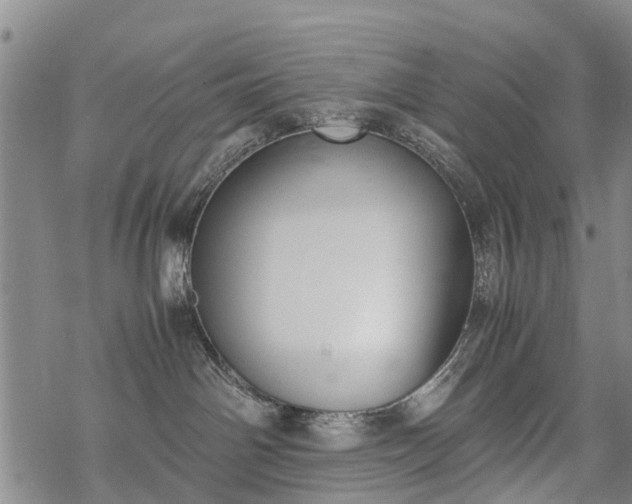 X0000069390142200605192223