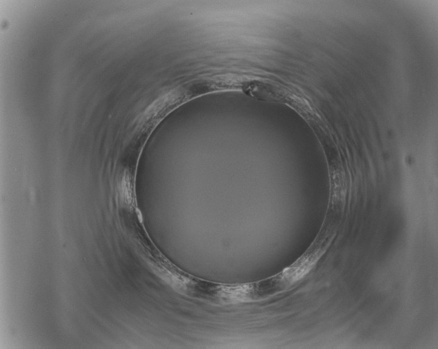 X0000069390143200605192223