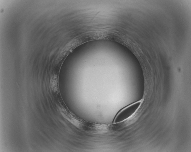 X0000069390144200605192223