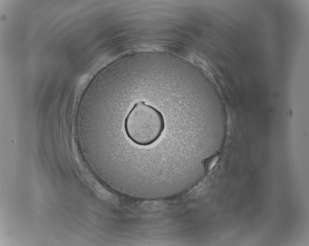 X0000069390145200605192222