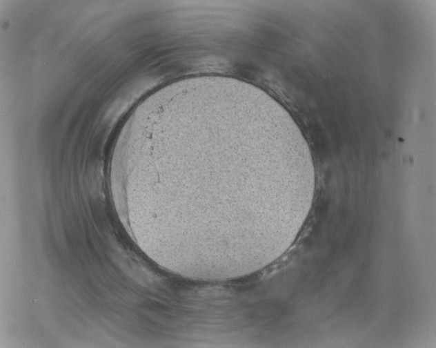 X0000069390146200605192222