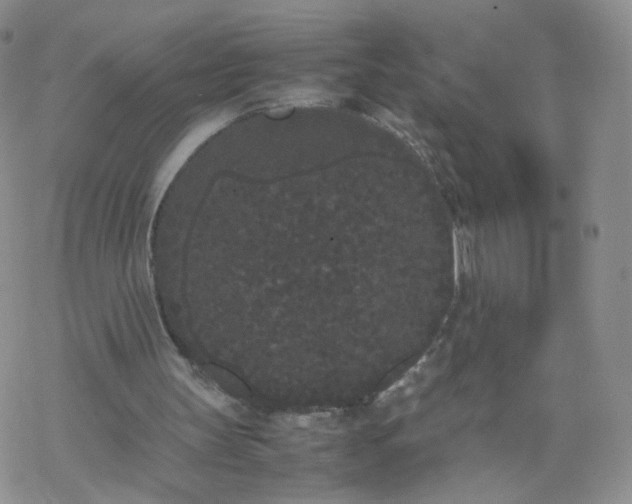 X0000069390147200605192222