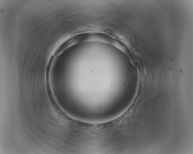 X0000069390148200605192222