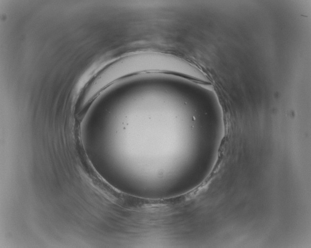 X0000069390150200605192222