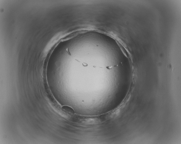 X0000069390151200605192222