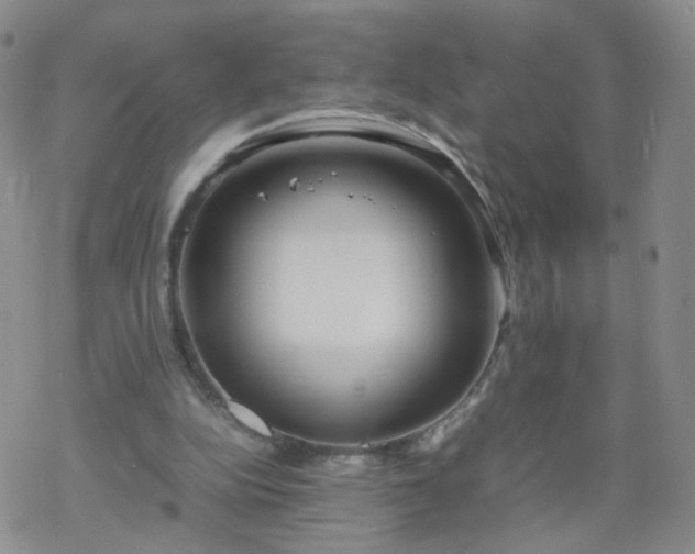 X0000069390152200605192222