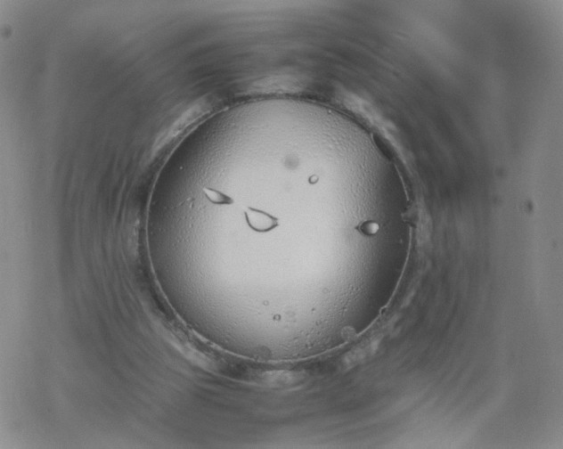 X0000069390153200605192222