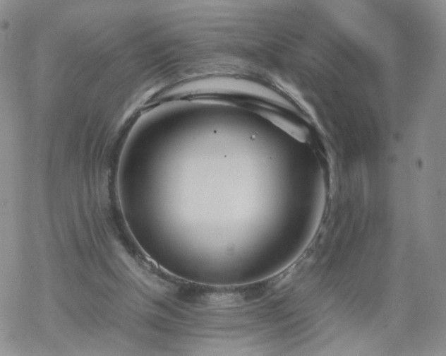 X0000069390154200605192222