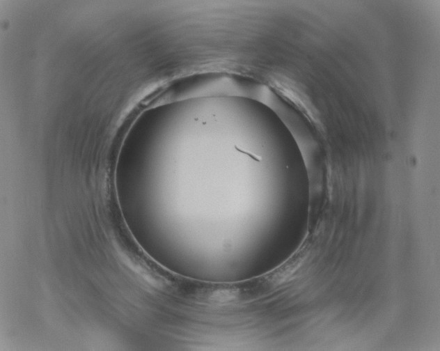 X0000069390156200605192222