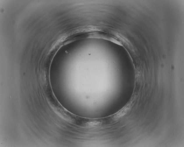 X0000069390158200605192222