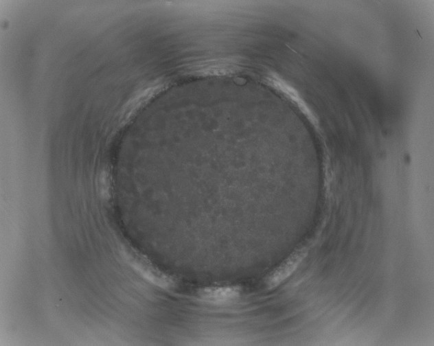 X0000069390161200605192223