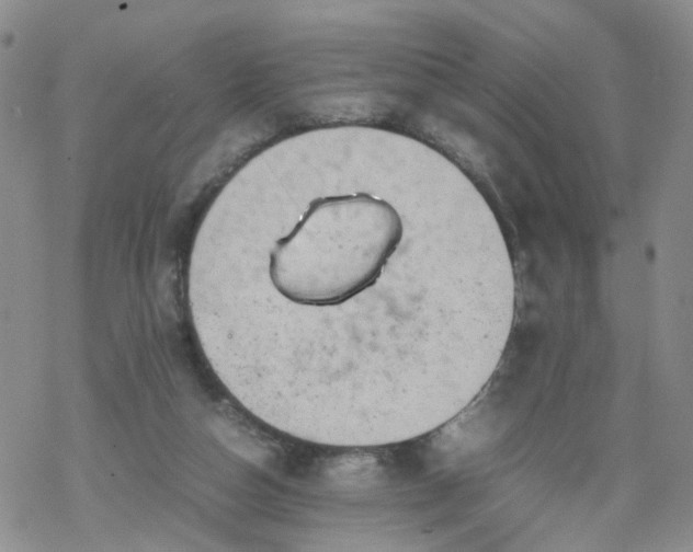 X0000069390162200605192223