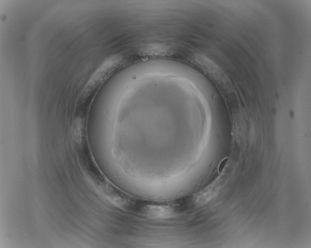 X0000069390167200605192223