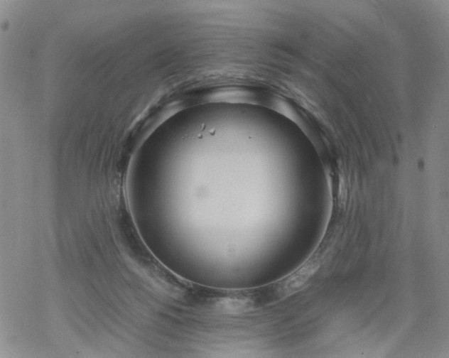 X0000069390168200605192223