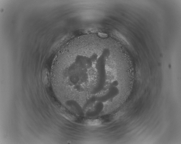 X0000069390169200605192223