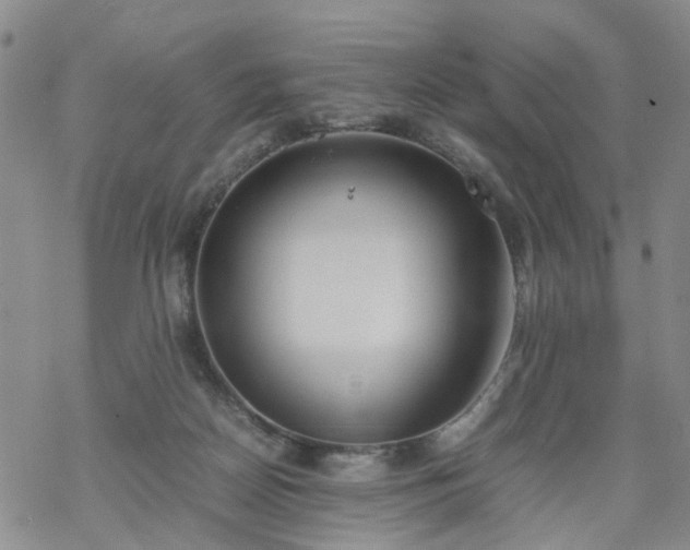 X0000069390170200605192223