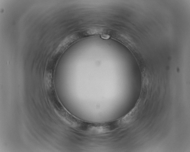 X0000069390171200605192223