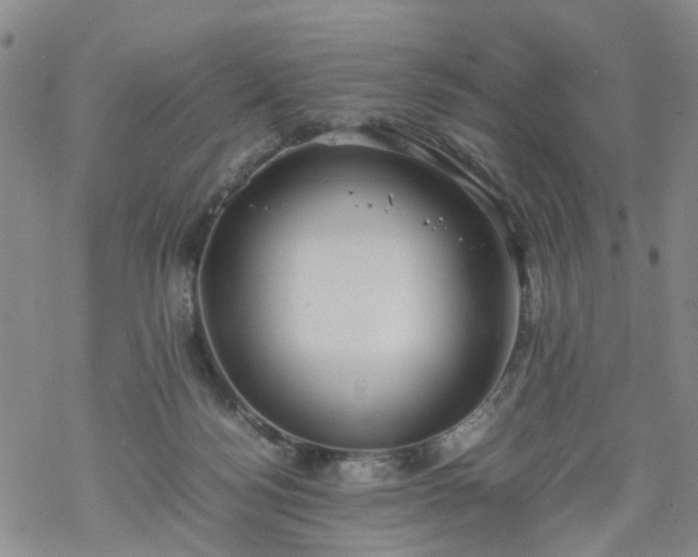 X0000069390172200605192223