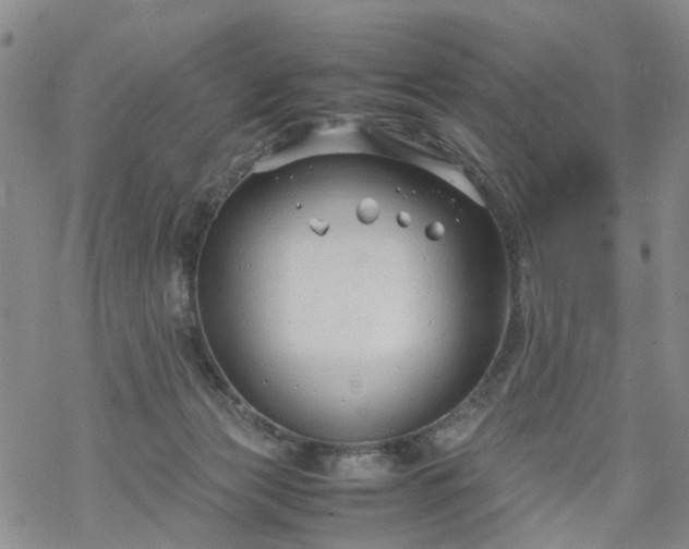 X0000069390173200605192223